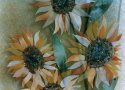 0_3809282_478073.jpg